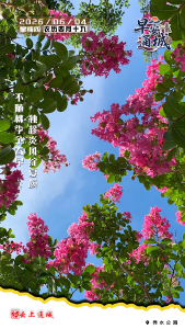 【海报】早安·隽秀通城