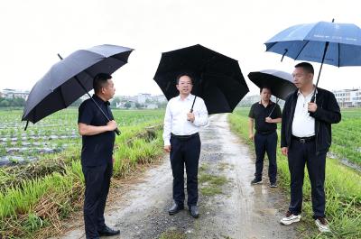黄建平到沙堆镇、五里镇调研