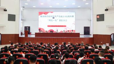通城县塘湖镇召开庆祝中国共产党成立105周年暨“两优一先”表扬大会