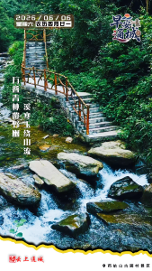【海报】早安·隽秀通城