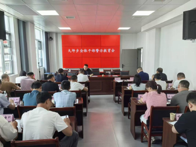 通城县大坪乡召开全体干部警示教育大会 筑牢廉洁从政思想根基