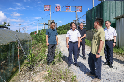 闻汛而动 严阵以待 守护安澜——通城县上下同心打好防汛防台风主动仗