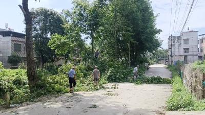 党建引领人居环境提质 | 通城县大坪乡集中开展集镇道路综合整治