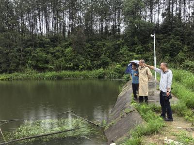 党建引领筑牢安全防线 | 通城县大坪乡扎实开展防汛防溺水巡查工作