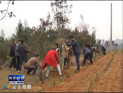 湖北美丽乡村建设试点名单公布 我县2村入选