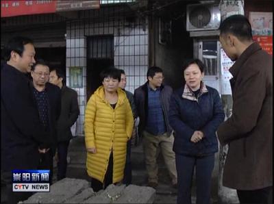闫英姿等市领导来我县检查指导禽流感防控工作