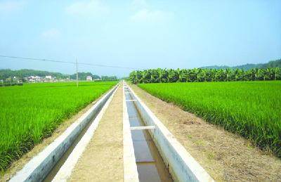 白霓高标准农田建设项目简介