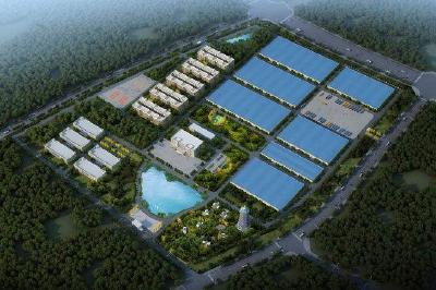 福尔康医用敷料项目简介