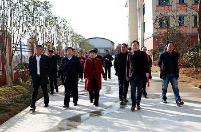 副市长刘复兴一行视察重点项目建设