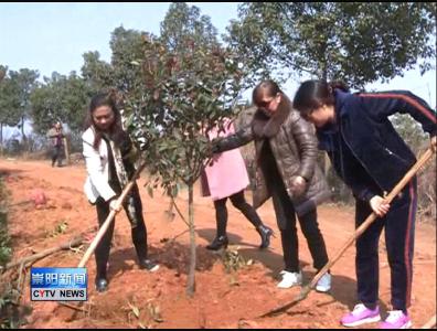 省林业厅在我县开展“三八”妇女节植树活动