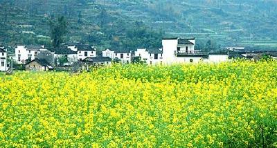  咸宁日报：崇阳整治河道建设美丽农村