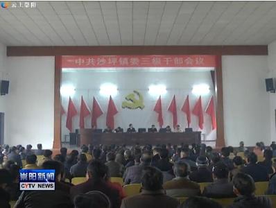 沙坪镇：打造美丽大沙坪  建强全国重点镇