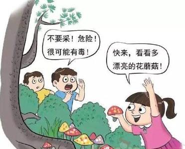 野生蘑菇中毒预警通告