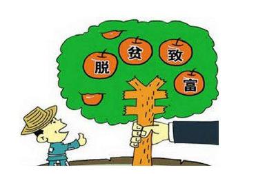 第五部分  扶贫小额信贷资金