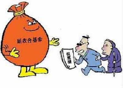 第七部分  新型农村合作医疗基金