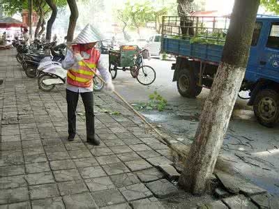 县住建局全面排查清理暴雨后受损的树木