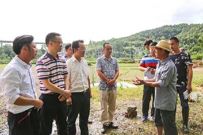 铜钟乡在下村党支部把“主题党日”活动开到溃口河堤上 