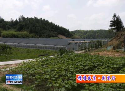 “扶贫先扶智”  我县教育扶贫实现全覆盖