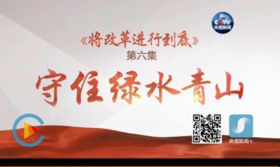 将改革进行到底 | 第六集《守住绿水青山》