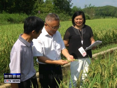 咸宁日报：指导灾后农业恢复生产