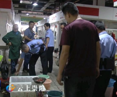 我县开展长江生态大保护林业专项行动