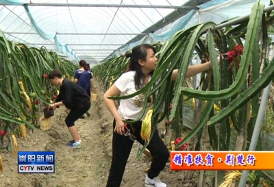 产业扶贫 扶出红火事业