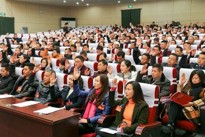 王崇琳当选政协崇阳县第十届委员会主席