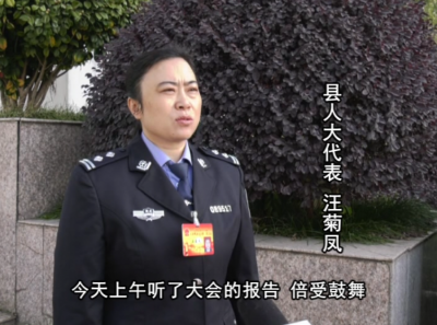 人大代表汪菊凤