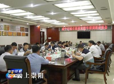 咸宁市城市基层党建专项调研座谈会在我县召开