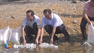 增殖放流 2000万尾鱼苗“安家”青山水库