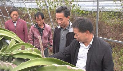 民建湖北省委主委郭跃进到崇阳县调研脱贫攻坚工作