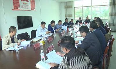 杭莺深入石城镇调研软弱涣散基层党组织集中整顿工作