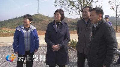 省人大常委会党组书记、常务副主任王玲到崇阳县调研扶贫整改工作