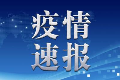 25日 咸宁新增新型肺炎病例15例 崇阳共9例