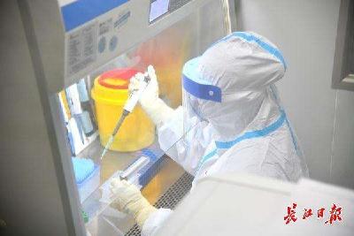 武汉核酸检测提速提质提量 每日检测能力由初期200份提升至4000余份