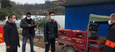 崇阳|草莓情浓 他为一线送来了元宵“礼物”