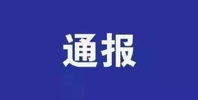 崇阳县通报7起党员干部疫情防控工作失职失责典型问题