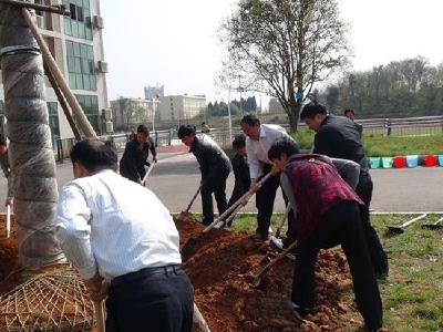 崇阳一中校园植树播绿