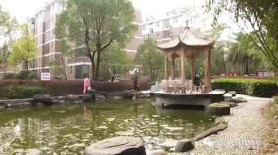 大集社区：绿色动态管控 内部有序开放