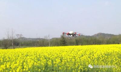 崇阳：农技员下田 无人机上“岗”