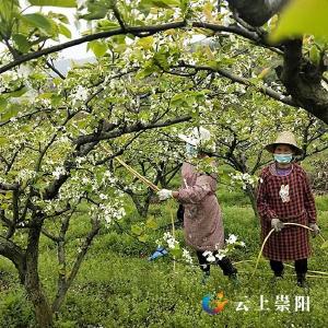 果园管理忙