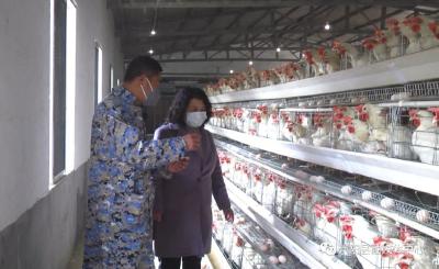 崇阳：复工复产进行时 动物防疫不松懈