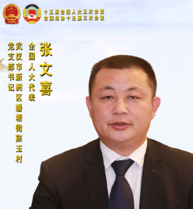 总书记来到湖北团 | 张文喜：合理提高村、社区干部待遇