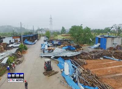 百余个水果大棚被掀翻 白霓镇积极开展生产自救