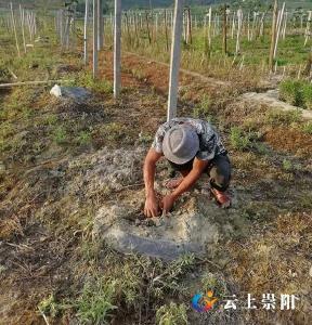 脱贫之星殷光德：发展种植业 脱贫奔富路