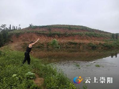 脱贫之星陈胜军：水上养鸡水下养鱼  脱贫摘帽上台阶