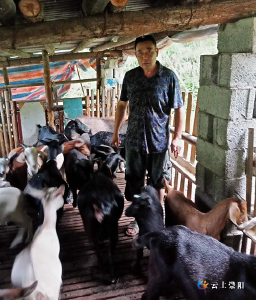 脱贫之星吴国恒：养殖山羊得“羊财”