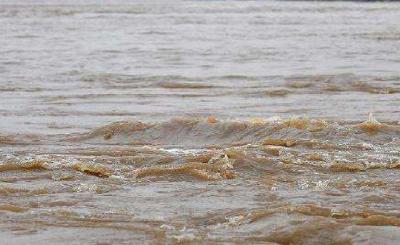 科学防 积极守 主动避——长湖防汛见闻