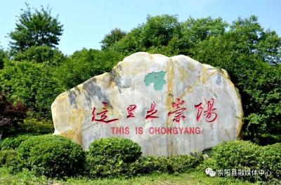 省委省政府通报表扬！全省乡村振兴战略实绩考核 崇阳“优秀”