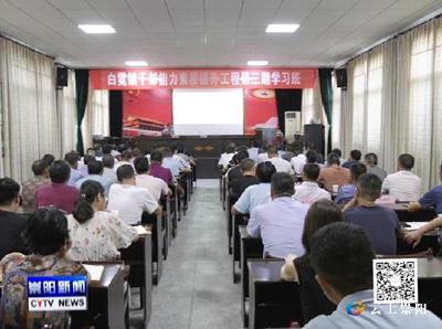 白霓镇干部集中学习《民法典》